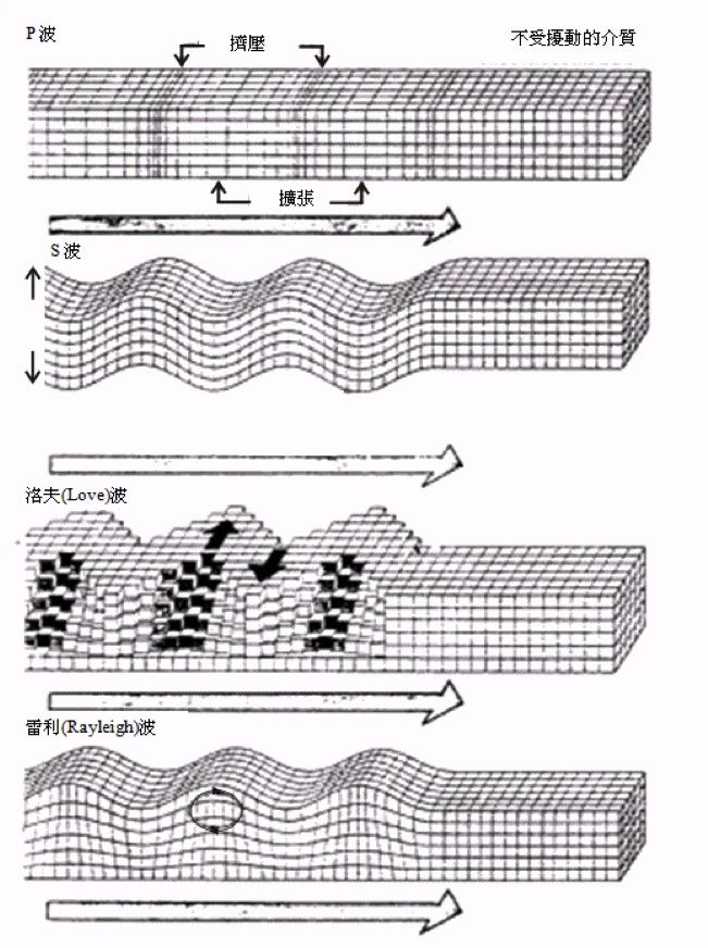 P 波、S 波及面波 (洛夫波、雷利波) 的不同運動模式